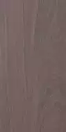 Newood Wenge 60x120