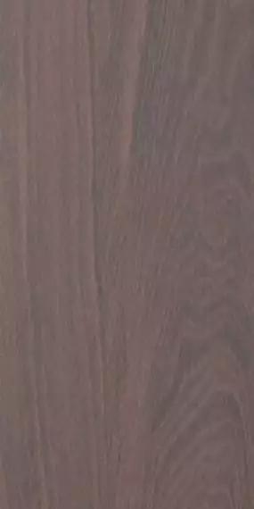 Newood Wenge 60x120