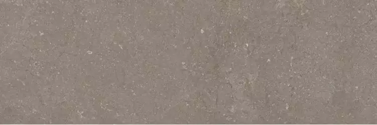 Next Taupe 40x120
