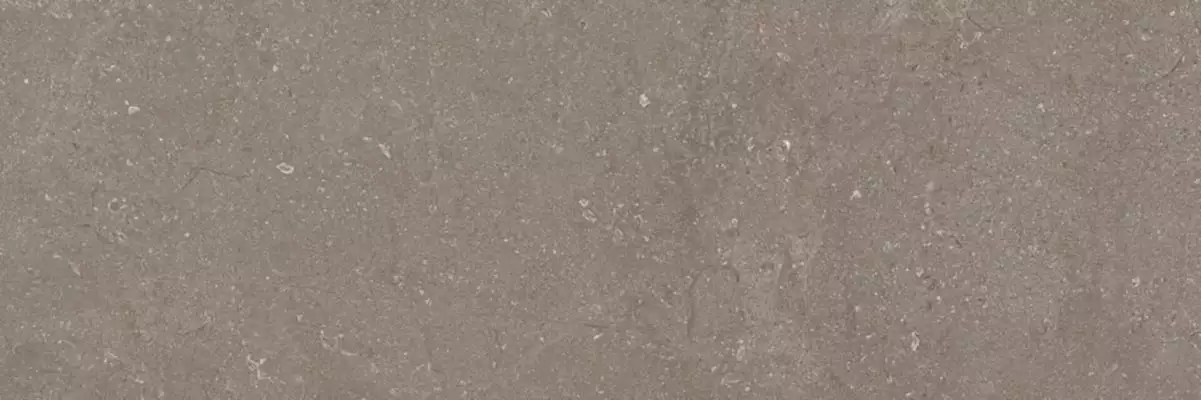 Next Taupe 40x120
