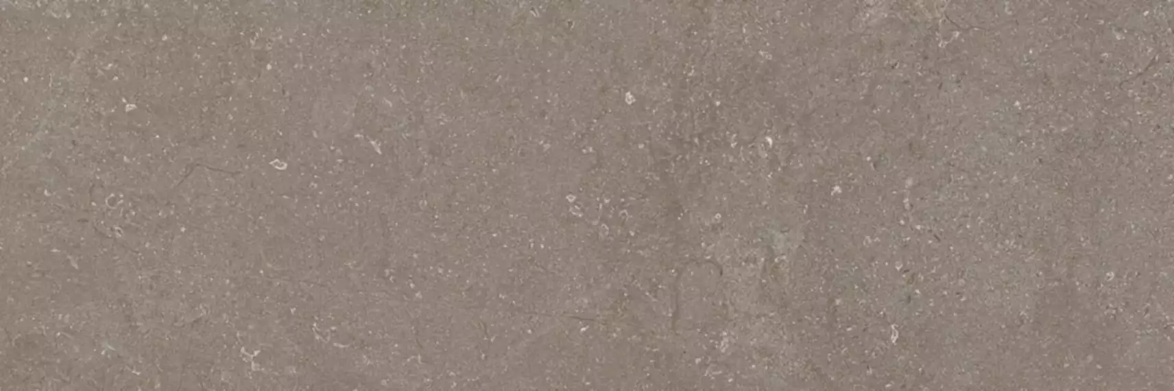 Next Taupe 40x120
