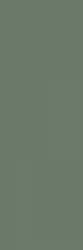 Nightwish Green Rekt 25х75