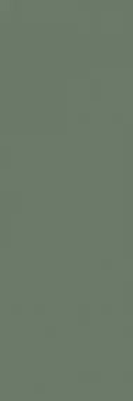 Nightwish Green Rekt 25х75