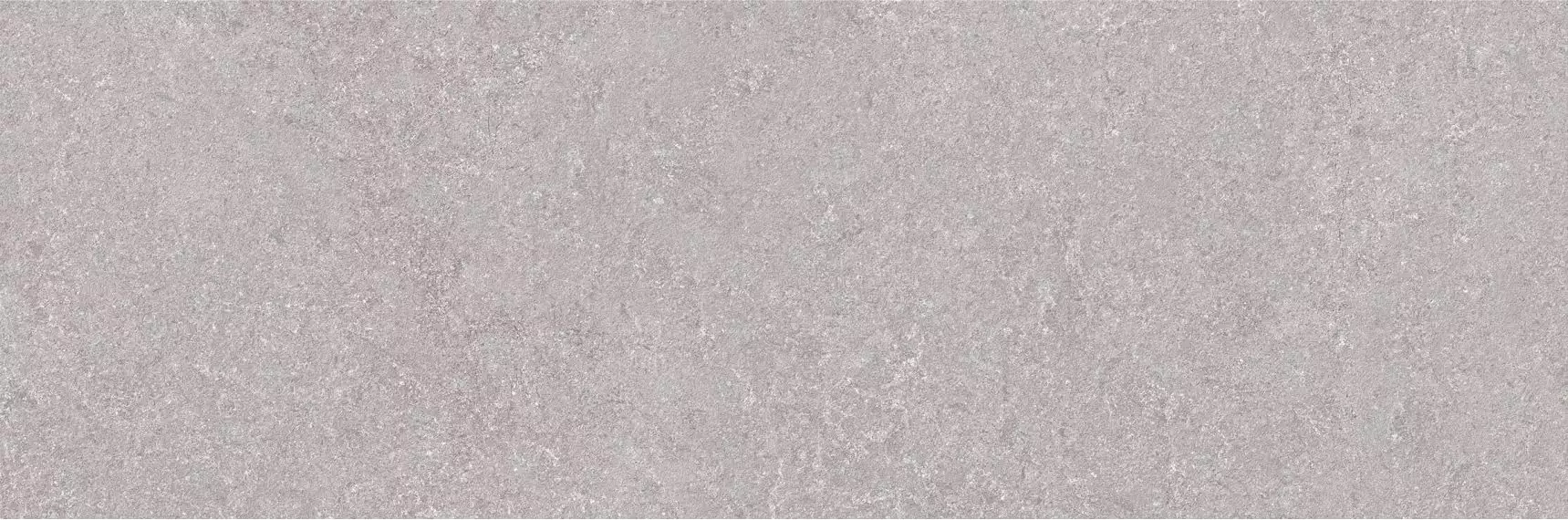 Niza Gris Rett. 25х75