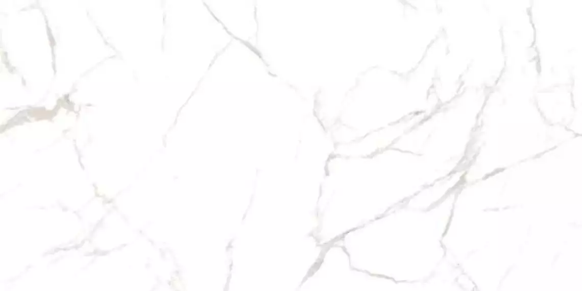 Noble Super White Satin Matt 120x60