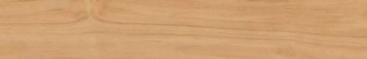 Nordland-R Beige 19.2x119.3