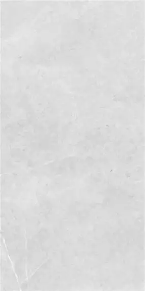 Northon Light Grey Pul Rect. 59x119