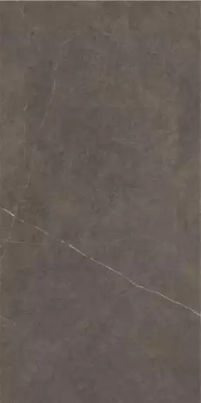 Northon Taupe Pul Rect. 59x119