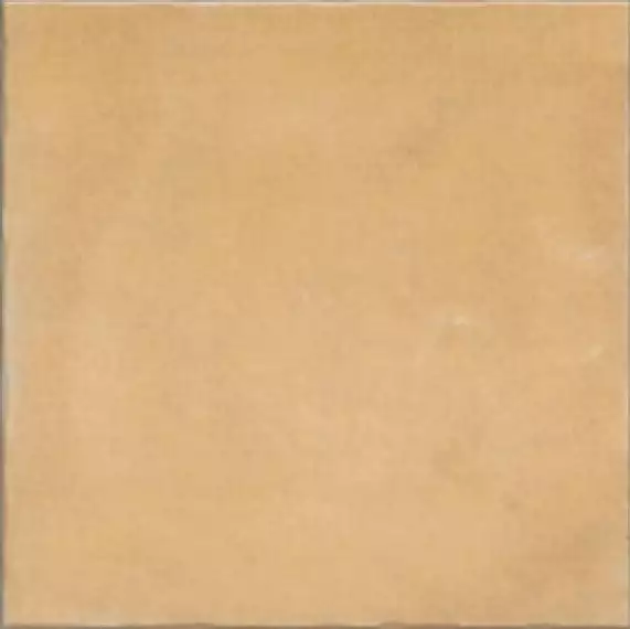 Nostalgy Honey 20x20