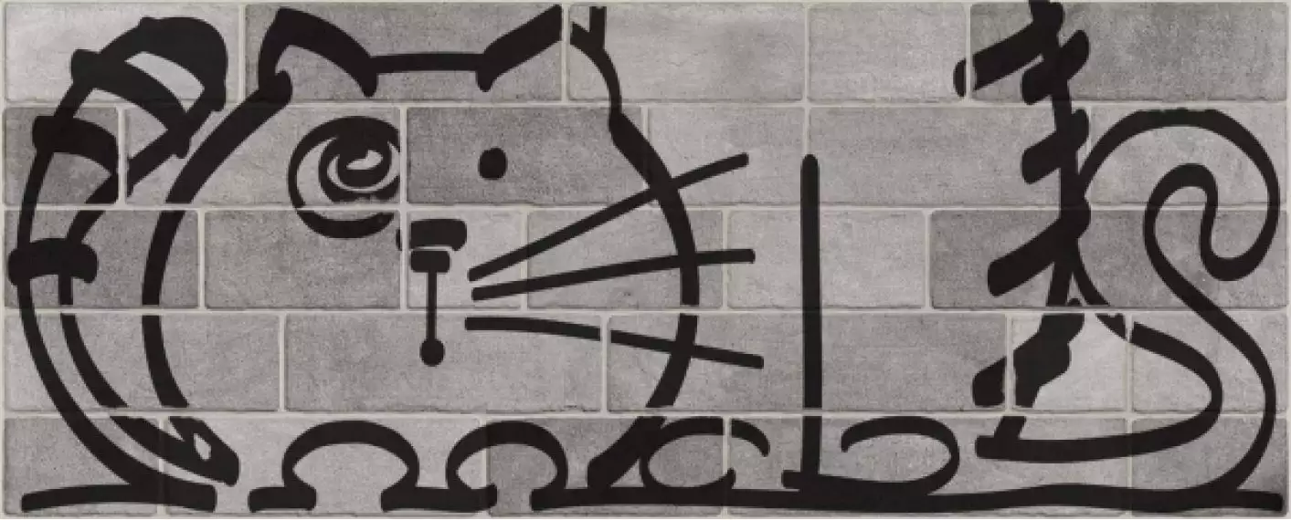 Nuney-4 Grafito 20*50