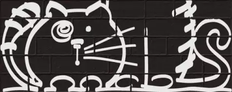 Nuney-4 Negro 20*50