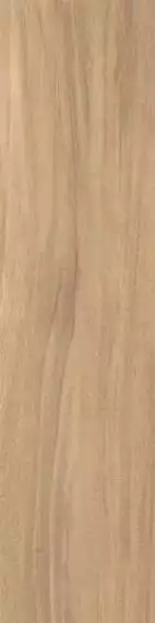 Nut beige 12.5x50