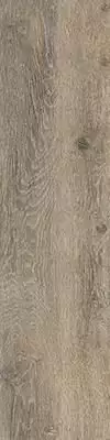 O-GWN-GGO114 Grandwood Natural коричневый 19.8x119.8