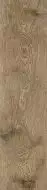 O-GWR-GGO391 Grandwood Rustic светло-коричневый 19.8x119.8