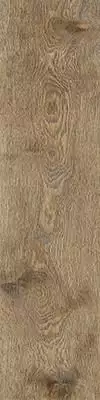 O-GWR-GGO391 Grandwood Rustic светло-коричневый 19.8x119.8