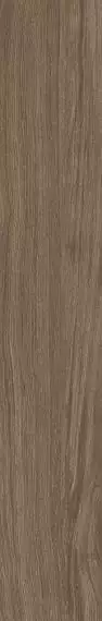 OAK CLOVES RTT 20X120