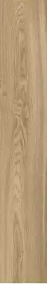 OAK GINGER RTT 20X120