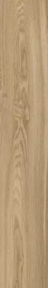 OAK GINGER RTT 20X120