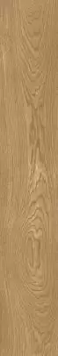 OAK NATURAL RTT 20X120