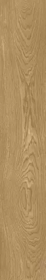 OAK NATURAL RTT 20X120