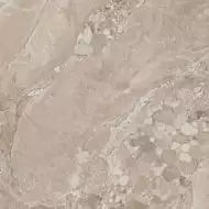 OM02 Oceanmist Beige неполированный 80x80