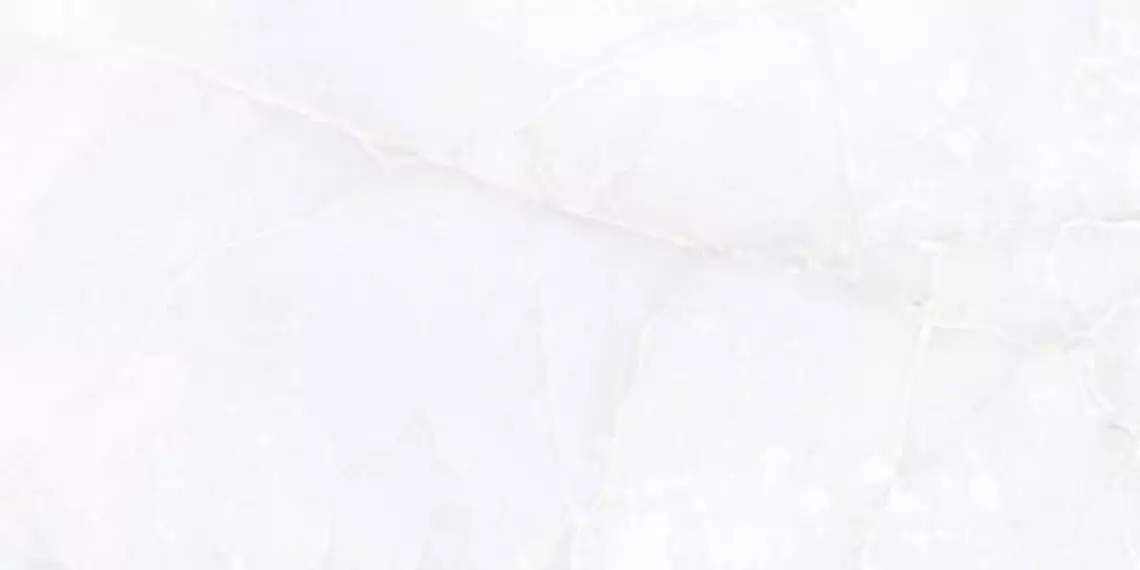 ONIX BLANCO ectifed Polished 60x120