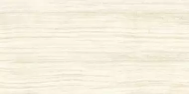 ONIX SAR.UO.OIV.LGS 300x150