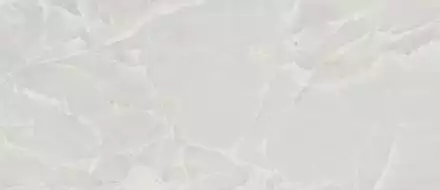 ONIX SP.PRP.OCL.LX 278x120