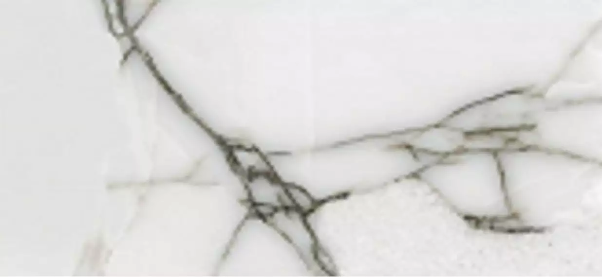 ONYX ARTIC 60x120