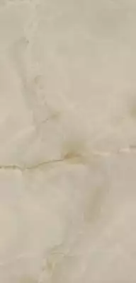 ONYX Polished 60x120