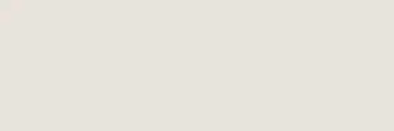 ORCHESTRA FANTASIA 20x60