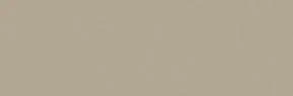 ORCHESTRA ROMANZA 20x60