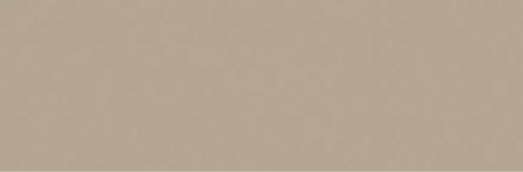 ORCHESTRA ROMANZA 20x60