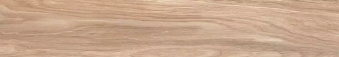 Oak Wood Brown 19,5x120