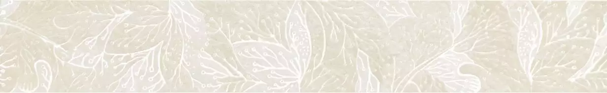 Obsydian white strip 59,8x9,8