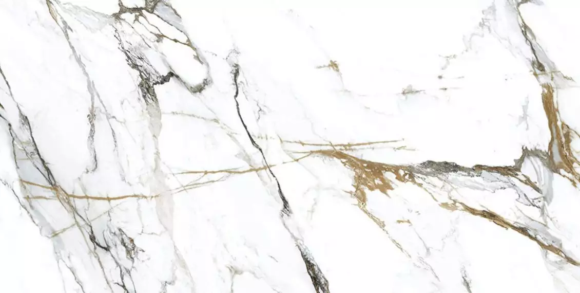 Oikos Gold 60x120