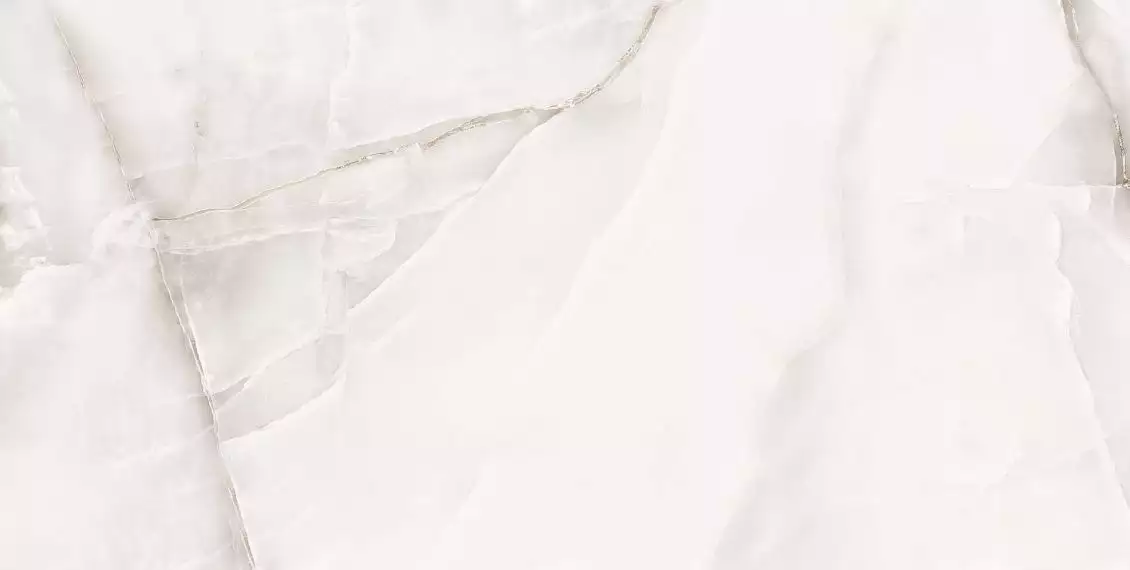 Onyx White PGVT 60x120