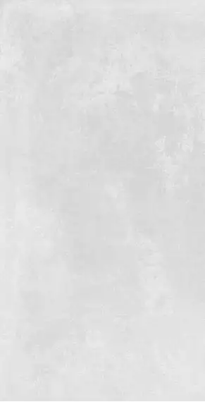 Organic Grey RC 60x120