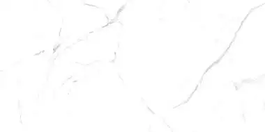 Oriental White 60x120