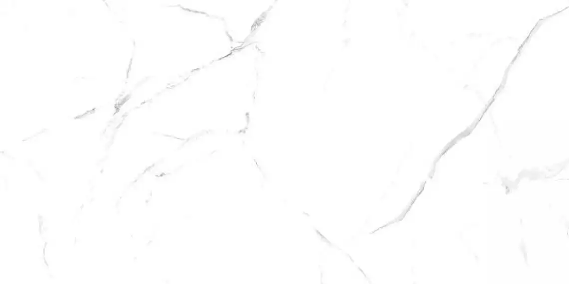 Oriental White 60x120