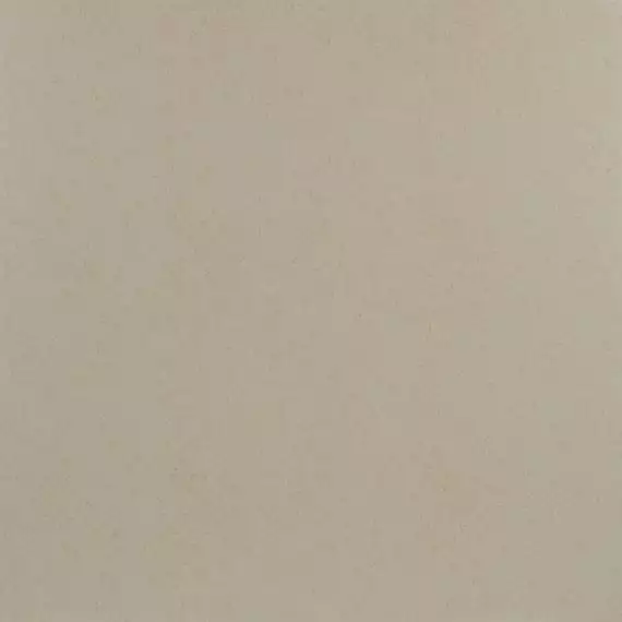 Orion Beige PG 02 45x45