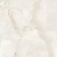 Ostra Bianco Elegance Polished 120х120
