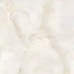 Ostra Bianco Elegance Polished 120х120