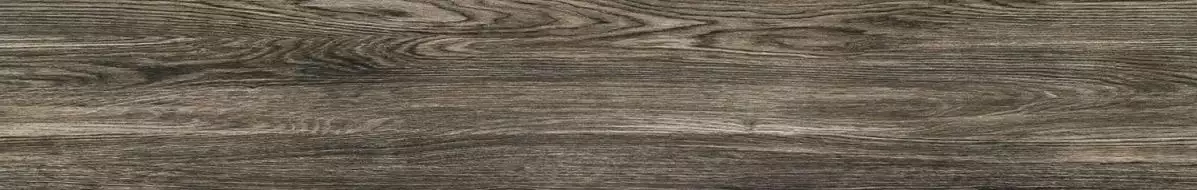 P-Terrane grey POL 119,8х19