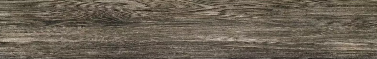 P-Terrane grey POL 119,8х19