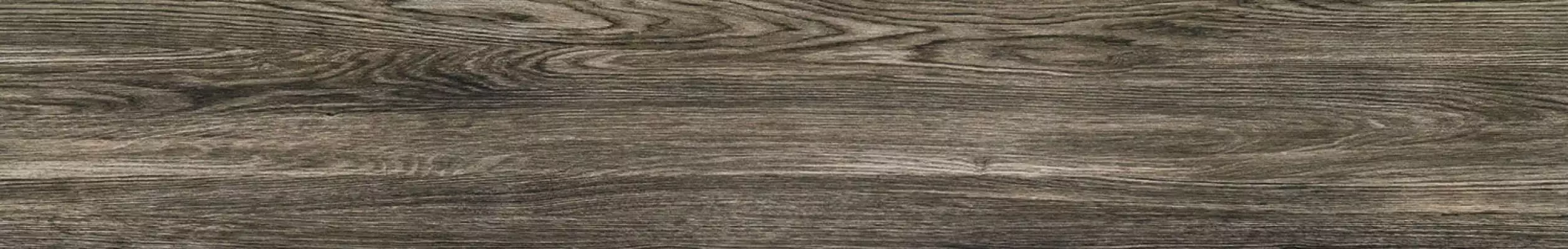 P-Terrane grey POL 119,8х19