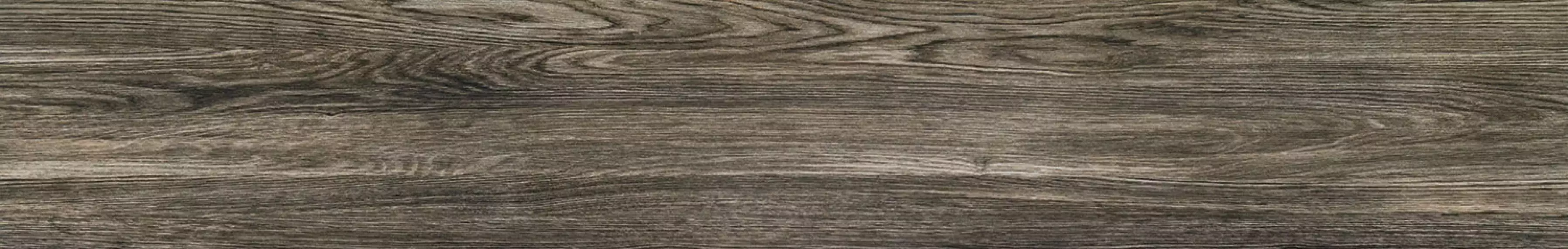 P-Terrane grey POL 119,8х19