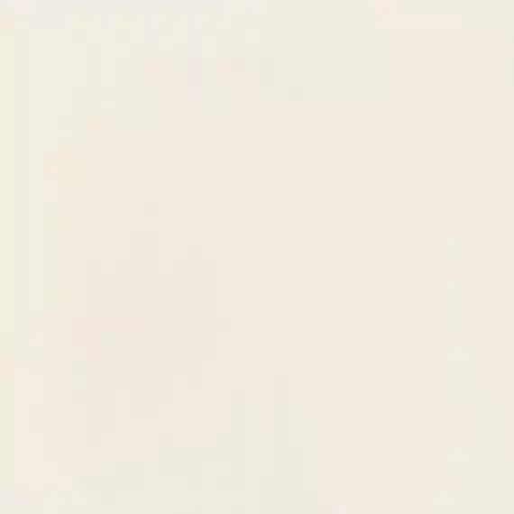 P-Unit Plus white 59,8x59,8