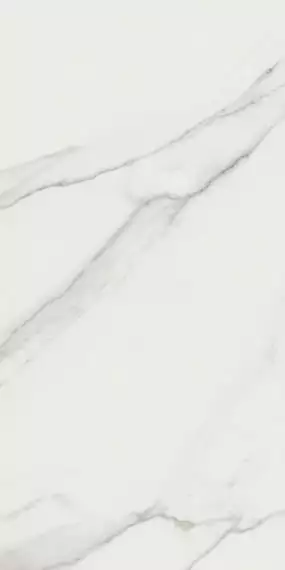 P.E. Lumiere White MT Rect 60x120