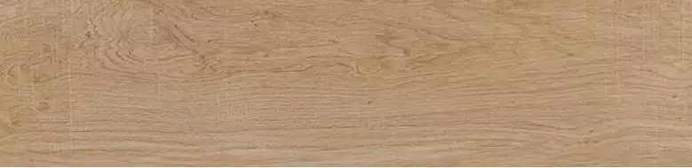 P1140016 Oxford Natural 22x90